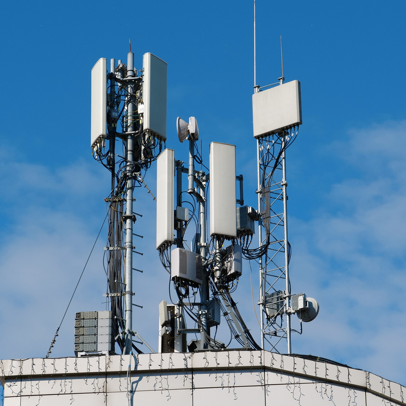 shutterstock_1924522931